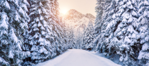 Winterdienst